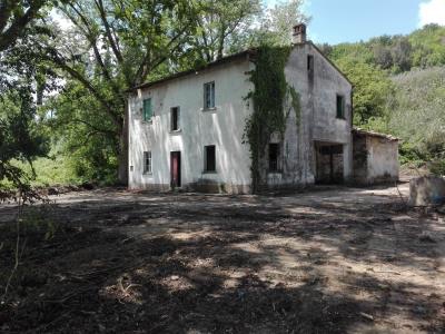 PODERE CALVANO